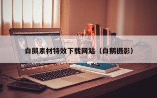 新昌白鹅素材特效下载网站（白鹅摄影）
